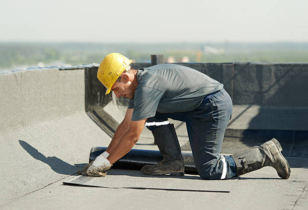 Best Residential Insulation in Harriman, TN